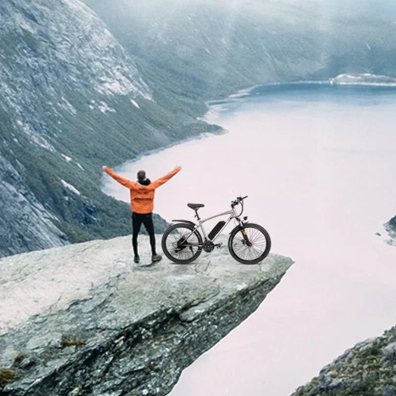 おしゃれで安い電動アシスト自転車が都会のライフスタイルを変える|Sptebik新時代の移動ソリューション - Sptebik