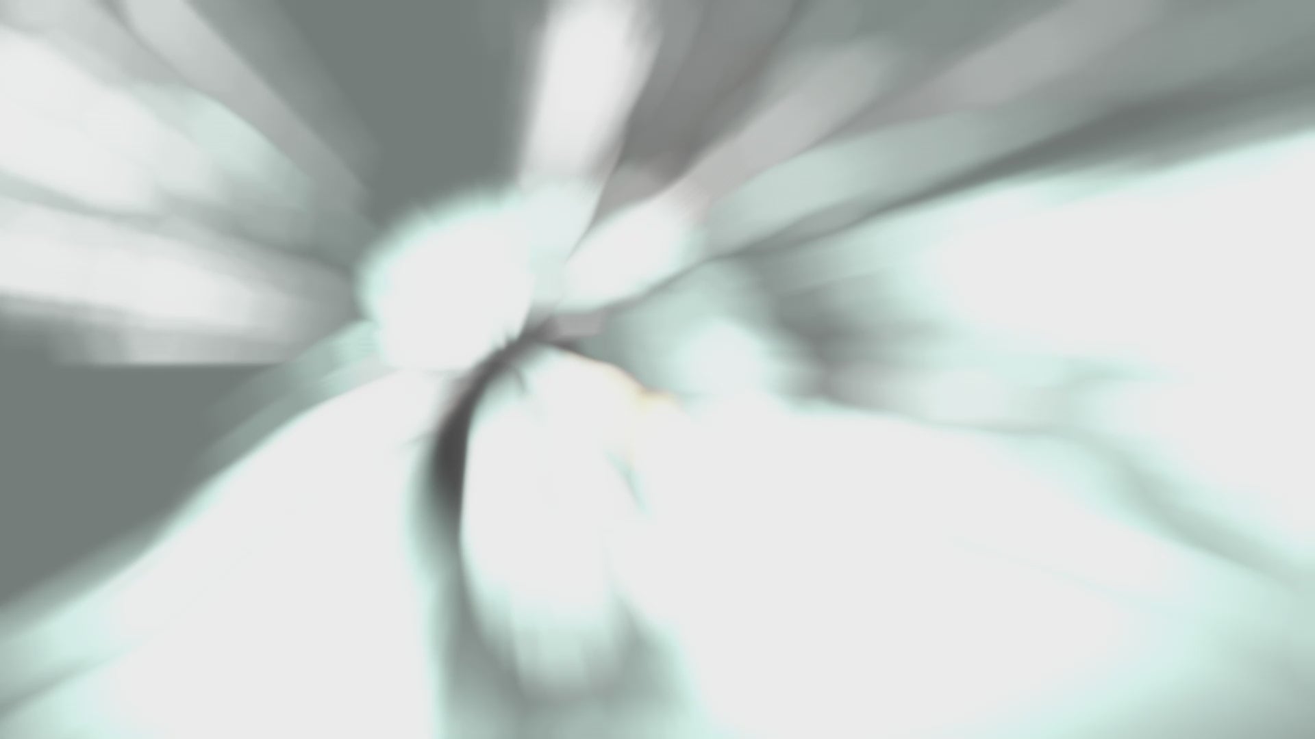 フライングイーグル006 電動アシスト自転車 幅広タイヤ+力強い登坂