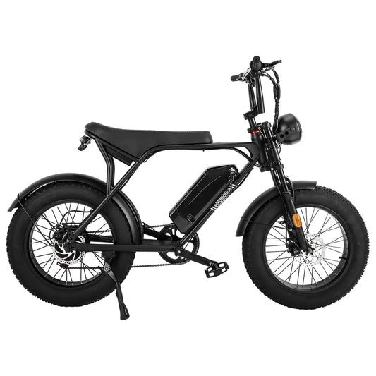 フライングイーグル 006 - 幅広タイヤ+力強い登坂 - Sptebik