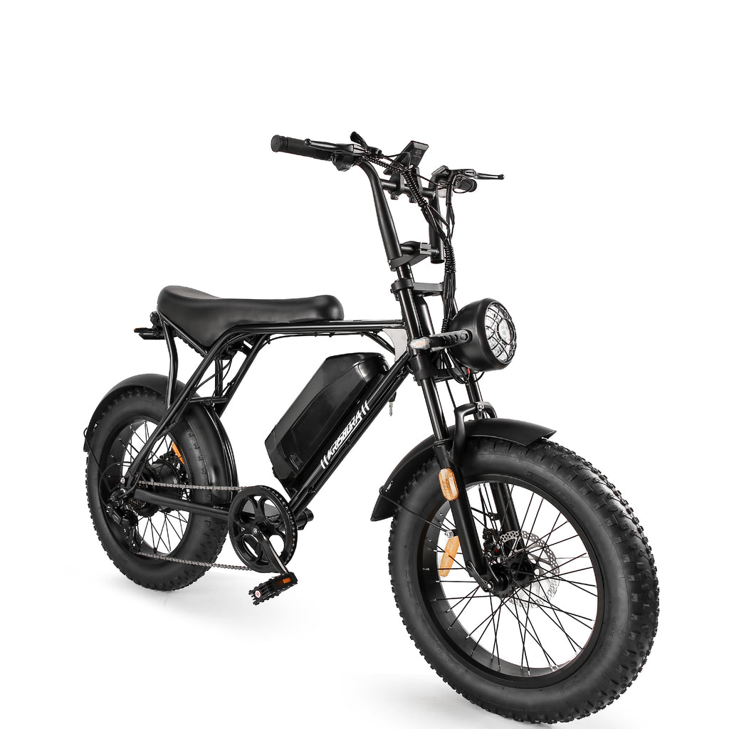 【公式正規品・フライングイーグル006 - 輸送中についた小キズ】 - 特価でご提供! - Sptebik