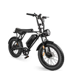 【公式正規品・フライングイーグル006 - 輸送中についた小キズ】 - 特価でご提供! - Sptebik