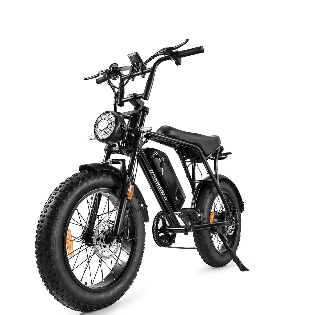 【公式正規品・フライングイーグル006 - 輸送中についた小キズ】 - 特価でご提供! - Sptebik