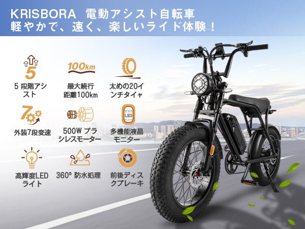 【公式正規品・フライングイーグル006 - 輸送中についた小キズ】 - 特価でご提供! - Sptebik