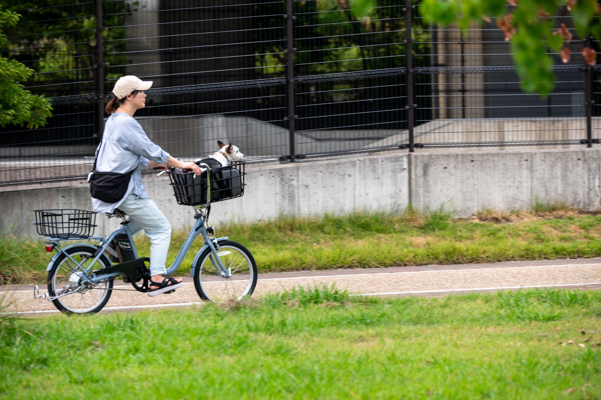 軽量で大容量、ペットに優しい電動アシスト自転車 - Sptebik