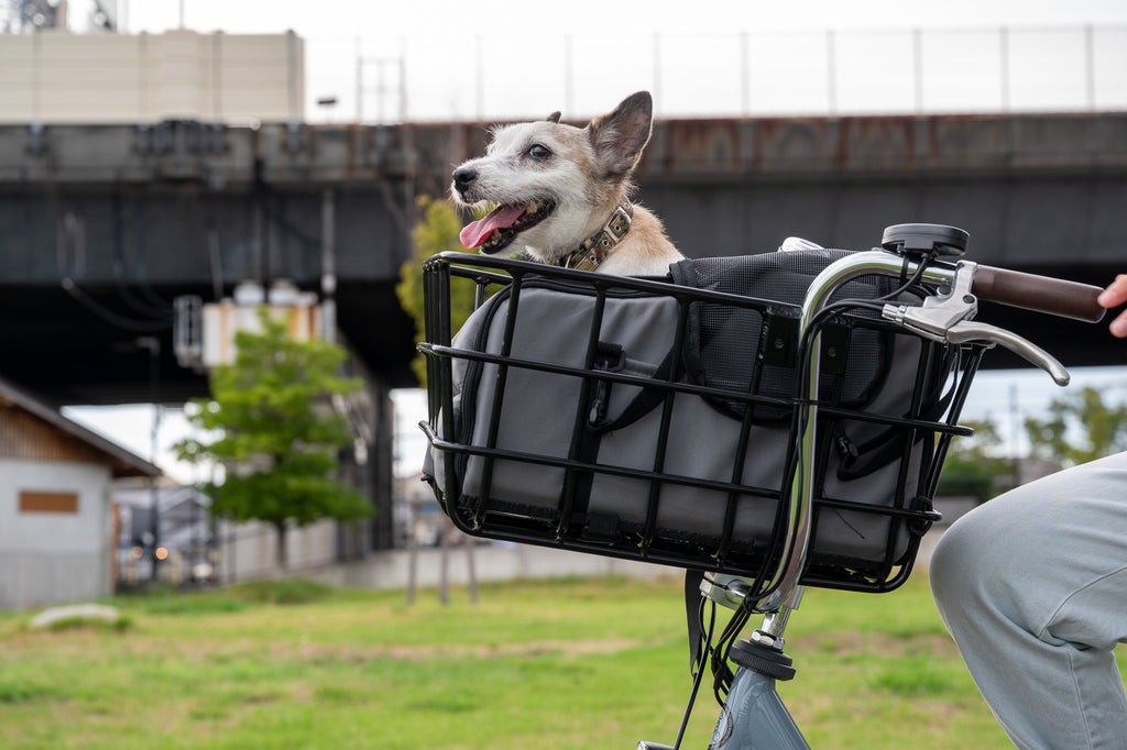 軽量で大容量、ペットに優しい電動アシスト自転車 - Sptebik