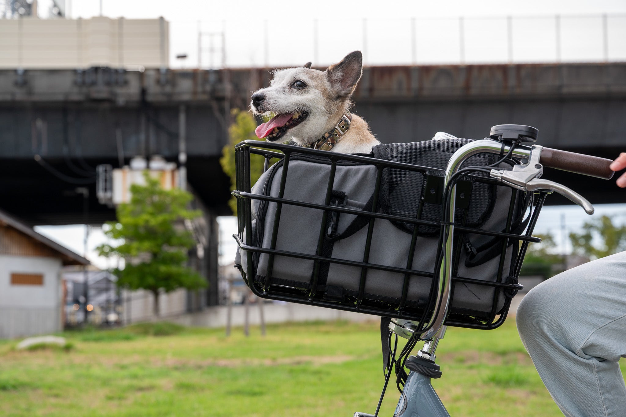 軽量で大容量、ペットに優しい電動アシスト自転車 - Sptebik