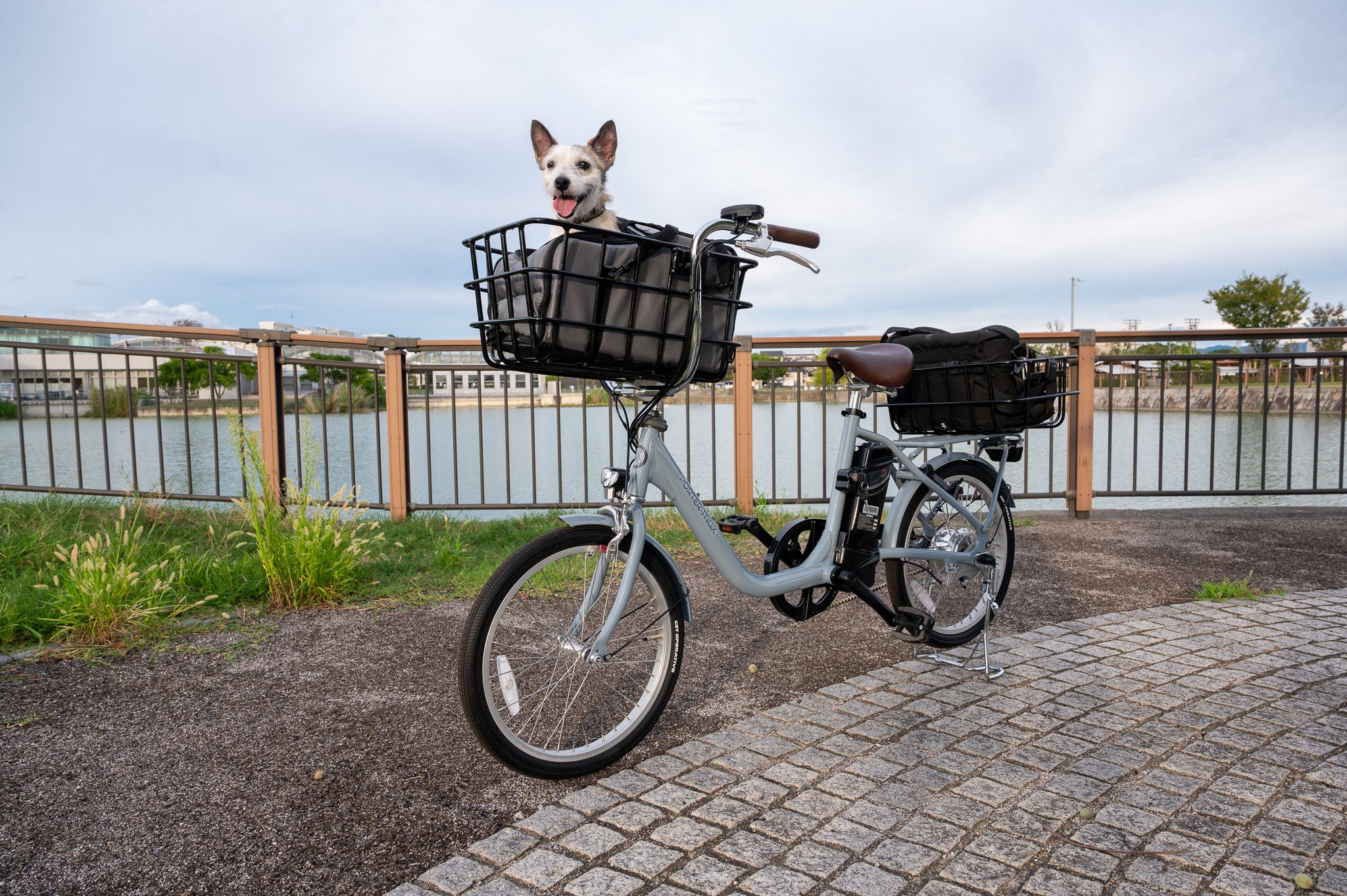 軽量で大容量、ペットに優しい電動アシスト自転車 - Sptebik